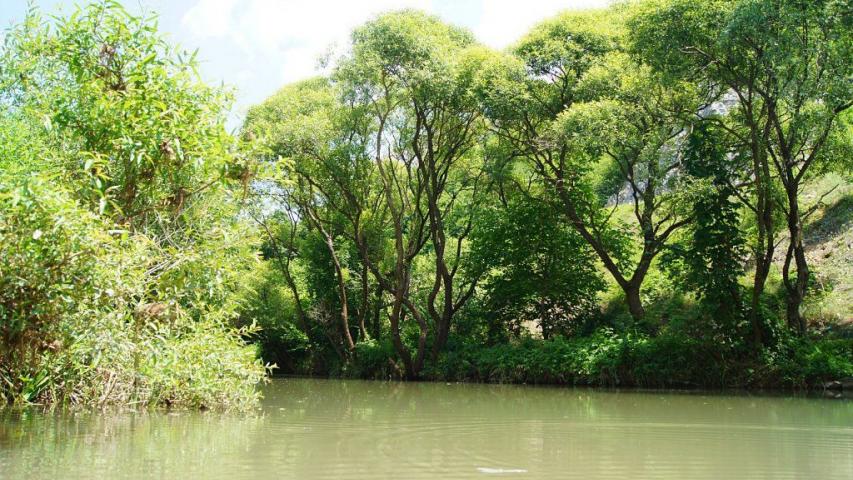 Nishava River near the village of Kalotina
